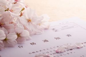 合格通知書の上の桜の花